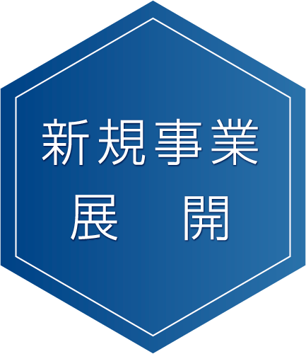 新規事業展開